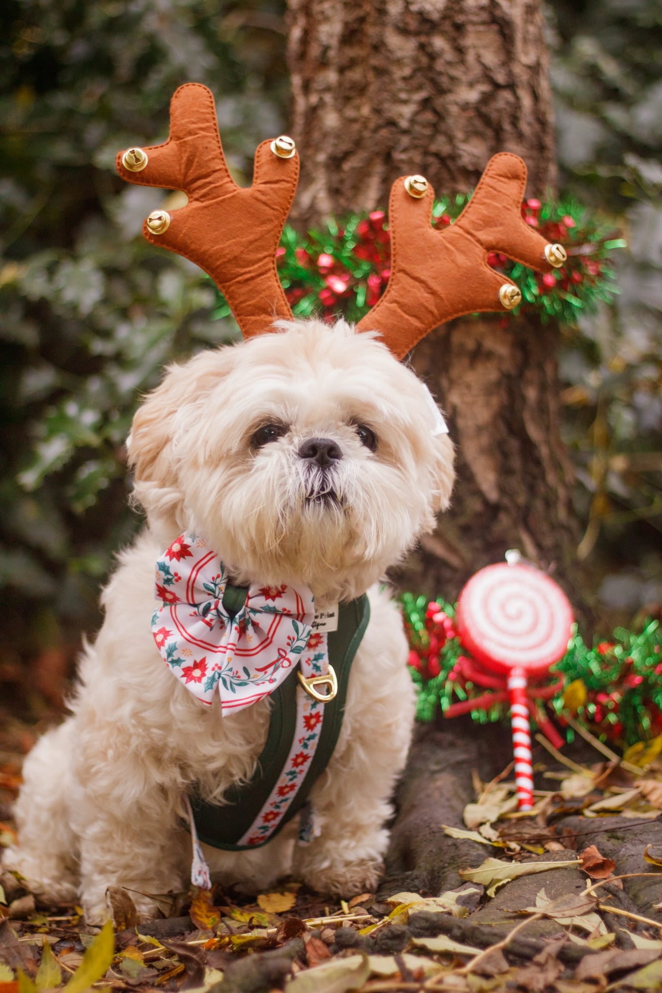 Festive Traditions Bow Tie