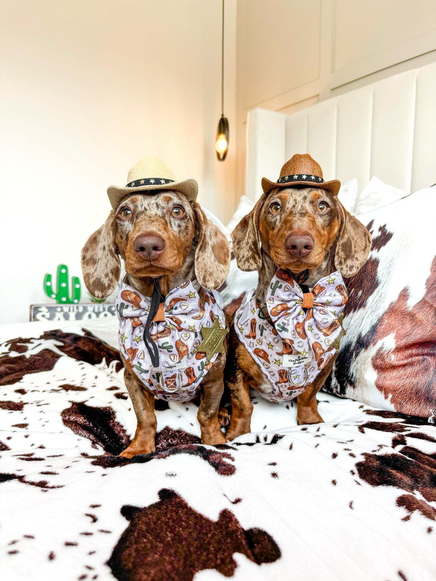Howdy Pawtner Adjustable Harness