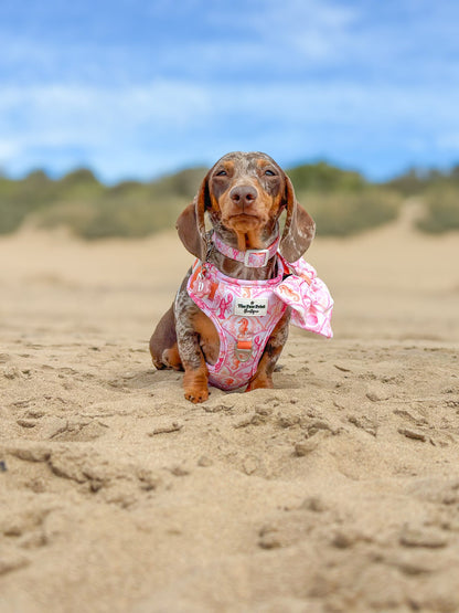 Under the Sea Adventure Paws Harness