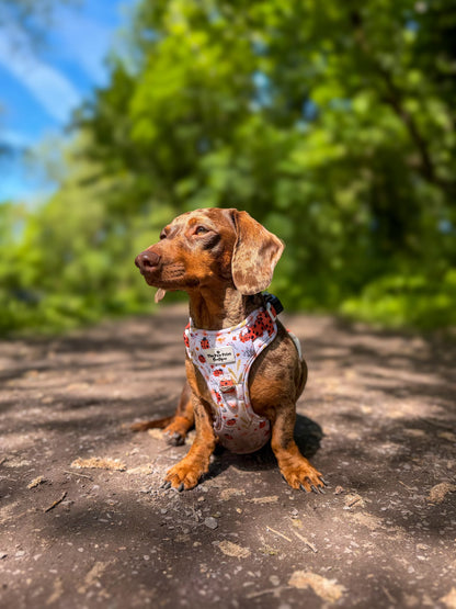 Ladybird Lane Adventure Paws Harness