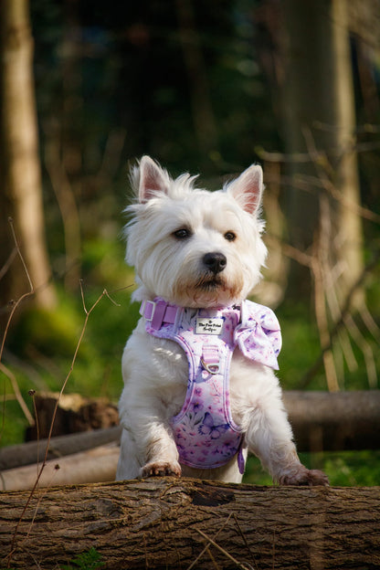 Butterfly Bliss Bow Tie