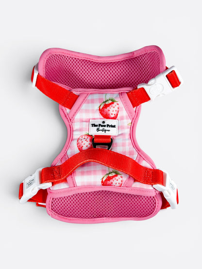 Strawberry Gingham Adventure Paws Harness