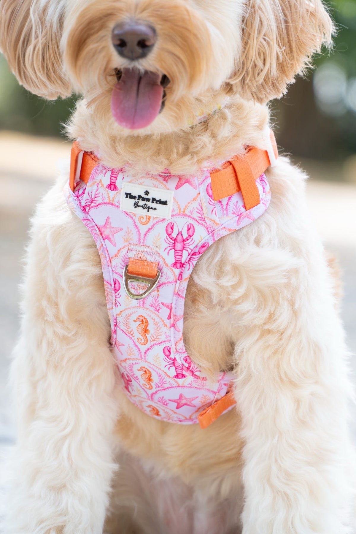 Under the Sea Adventure Paws Harness