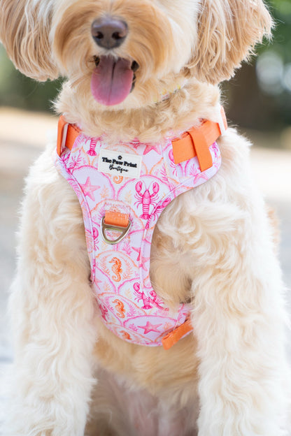 Under the Sea Adventure Paws Harness