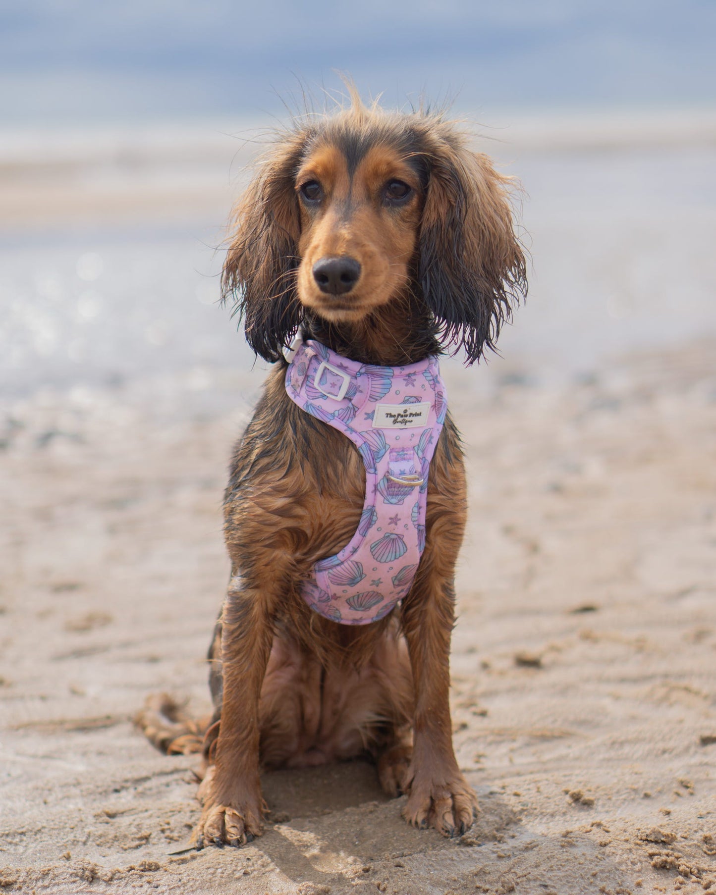 Mermaids Tails Adventure Paws Harness