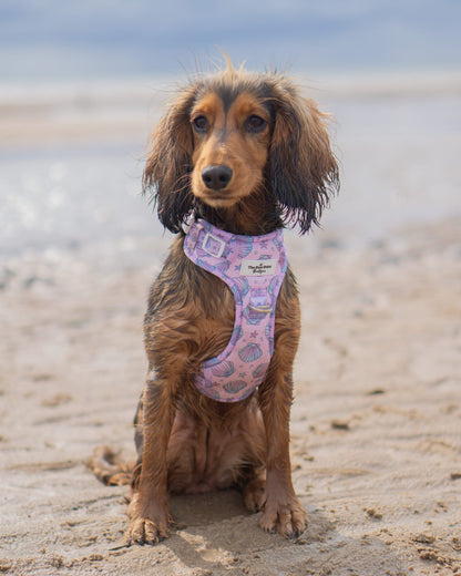 Mermaids Tails Adventure Paws Harness