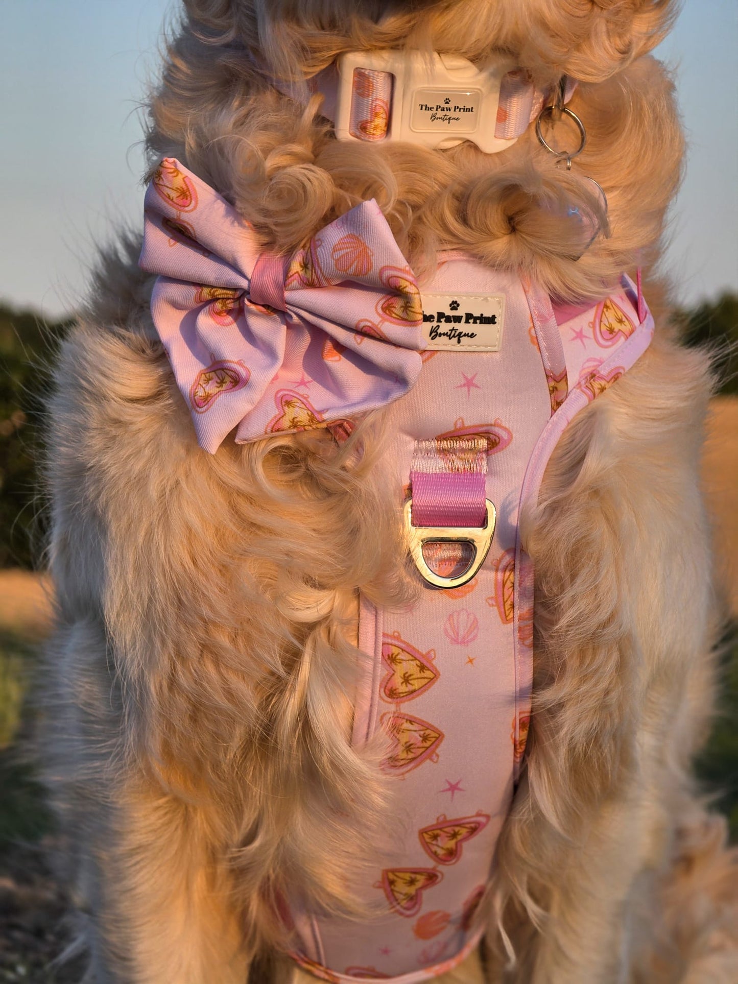 Miami Palms Adventure Paws Harness