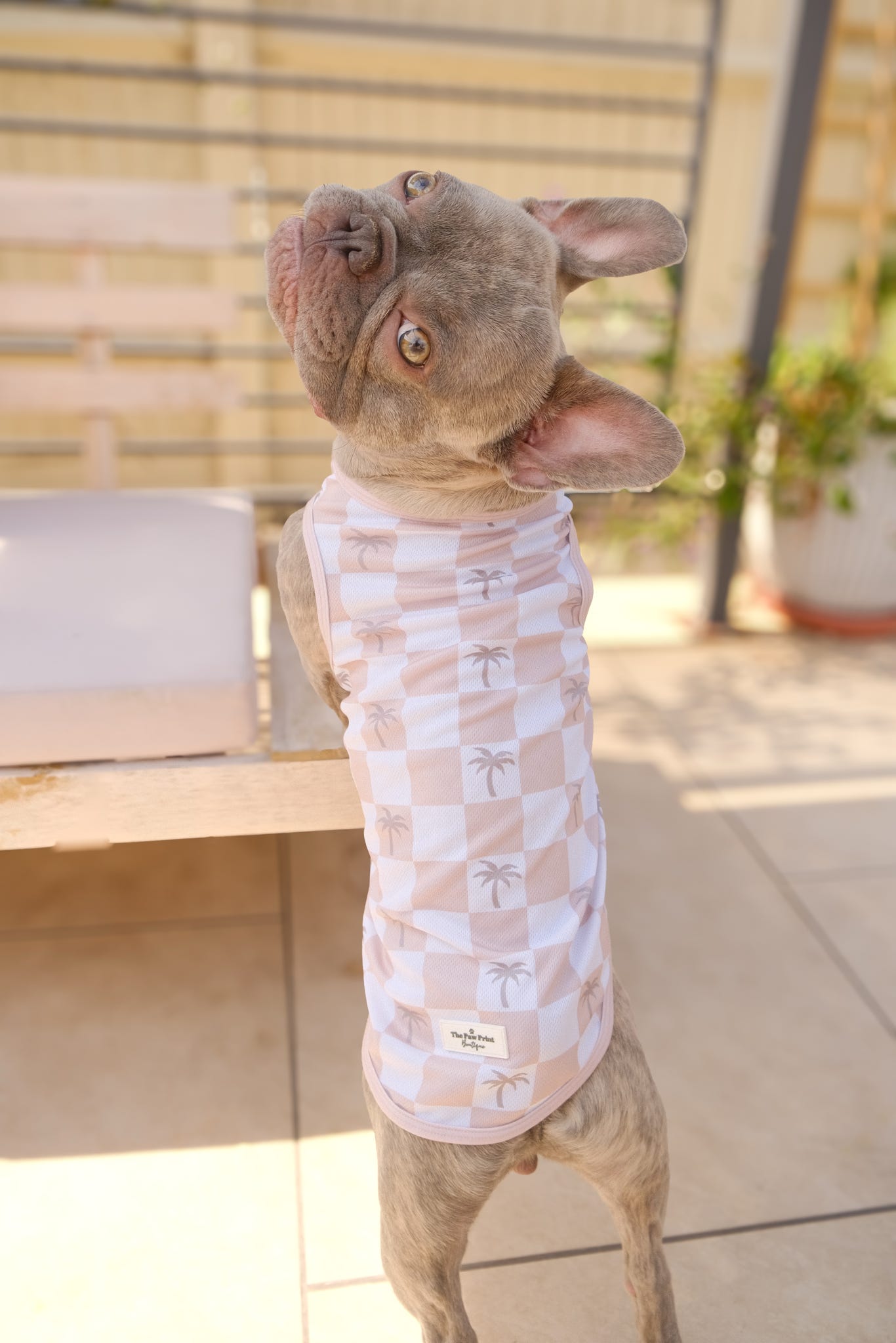 Palm Springs Cooling Vest