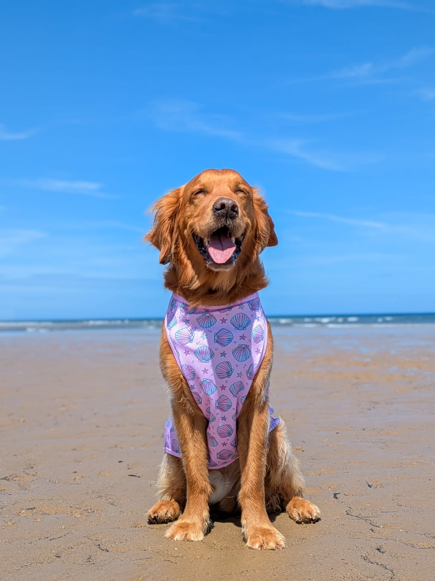 Mermaids Tails Cooling Vest