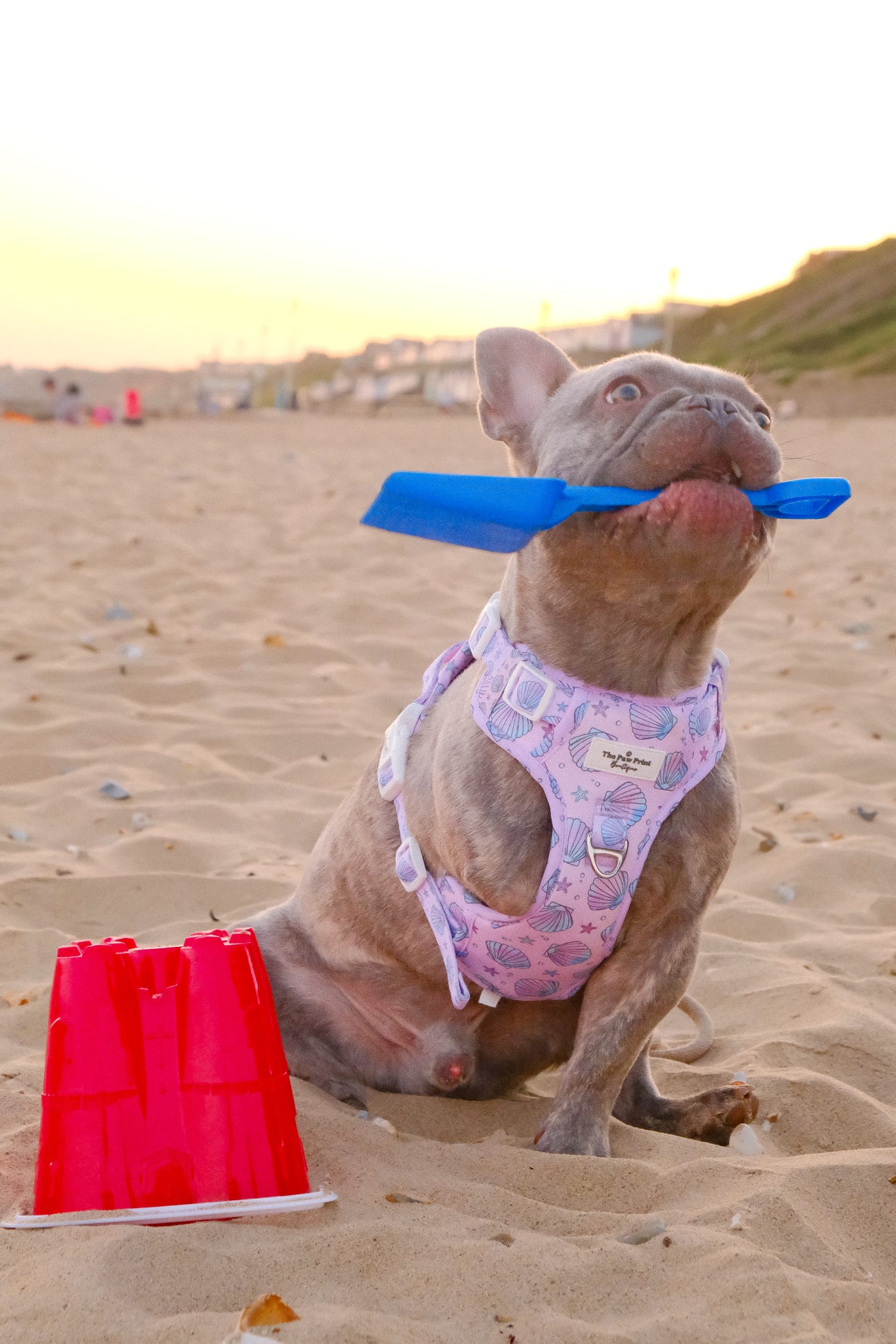 Mermaids Tails Adventure Paws Harness