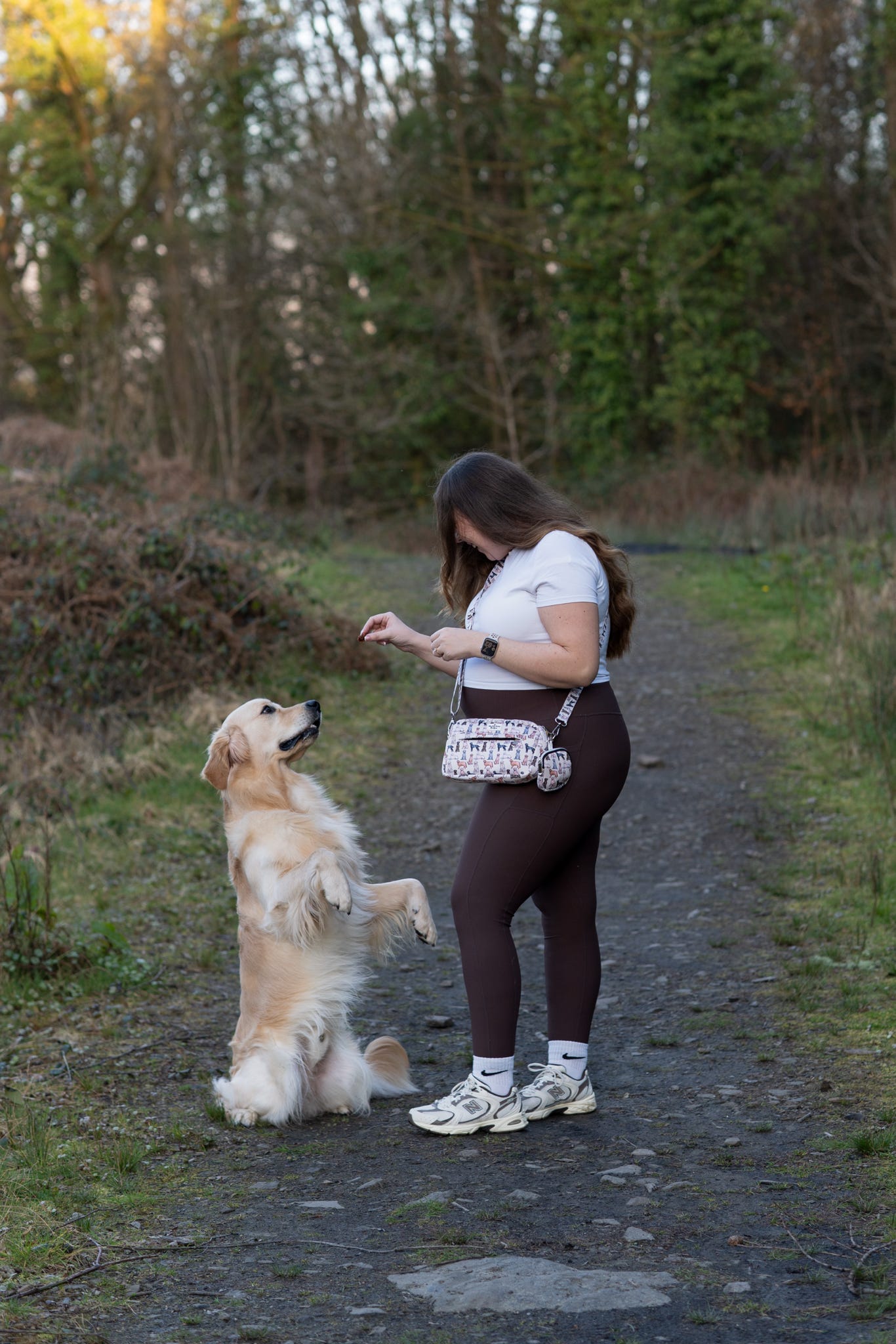 The Labrador/Retriever Dog Walking Bag