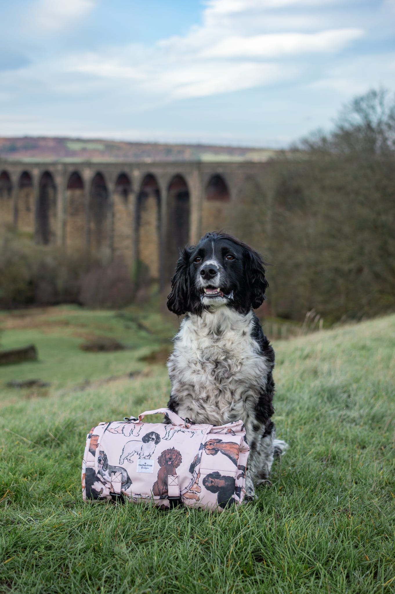 The Spaniel Travel Mat