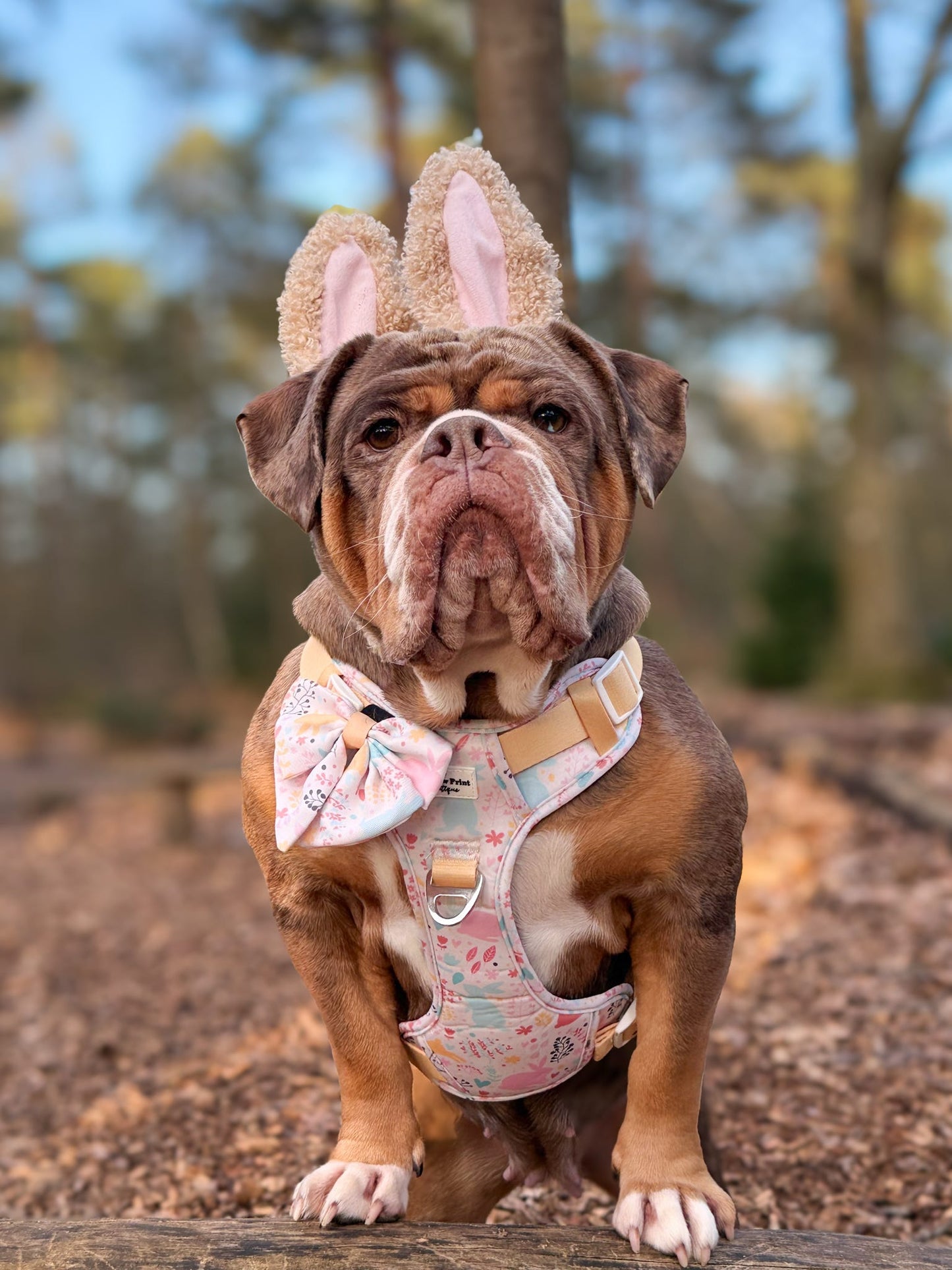 Hop into Bloom Bow Tie