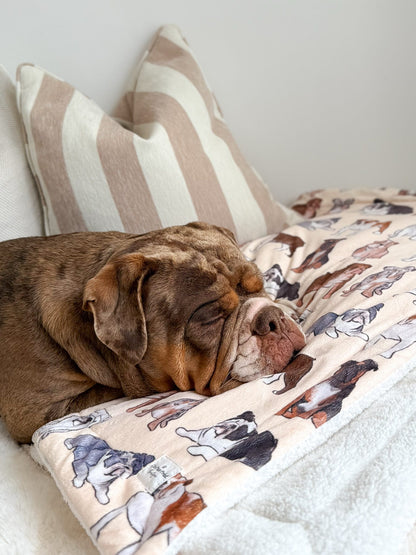 Bulldog Dog Blanket