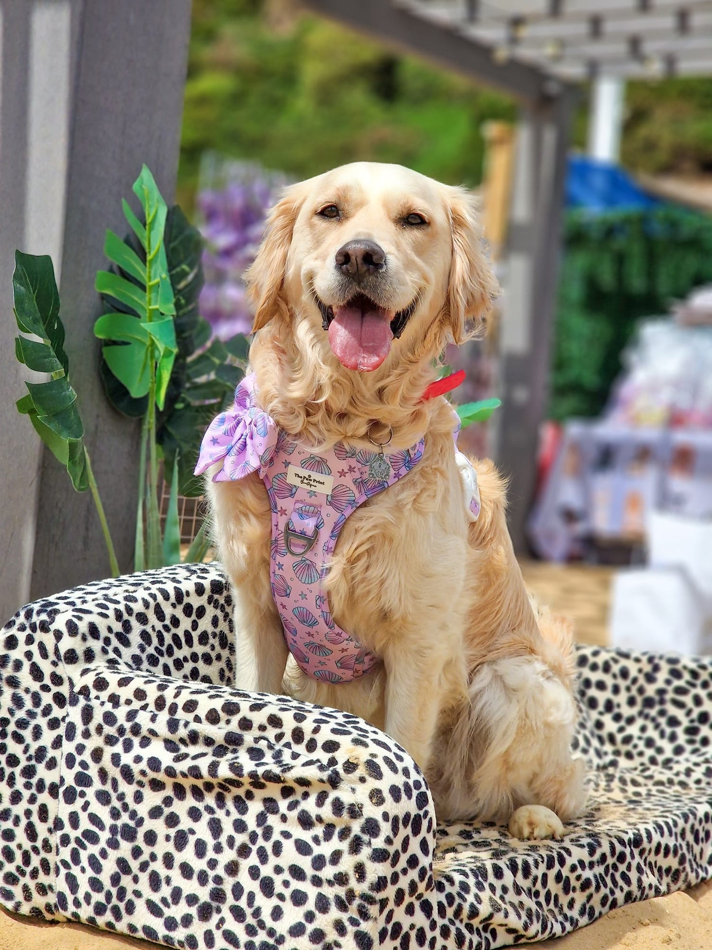 Mermaids Tails Adventure Paws Harness