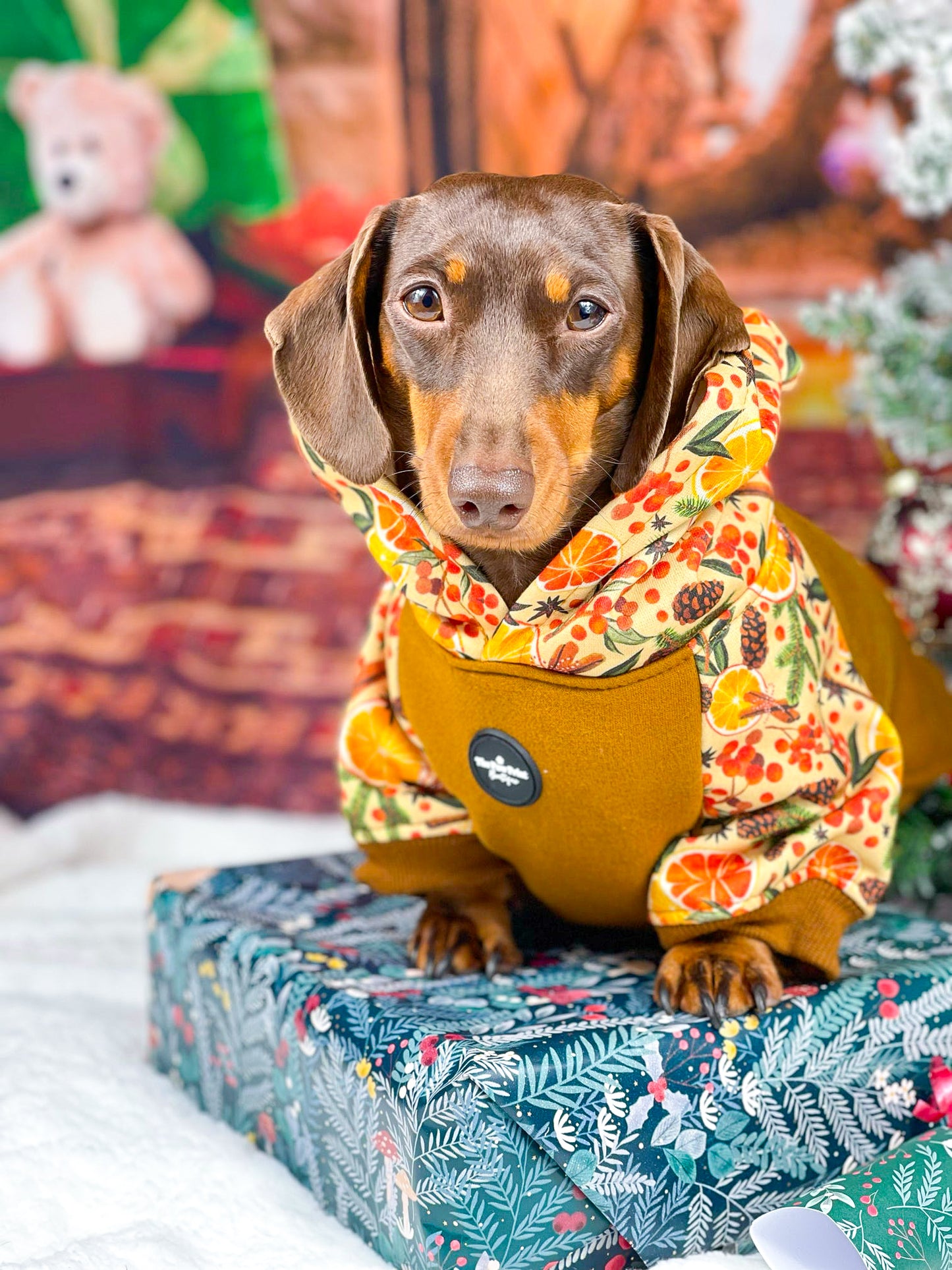 The Winter Scents Dog Hoodie