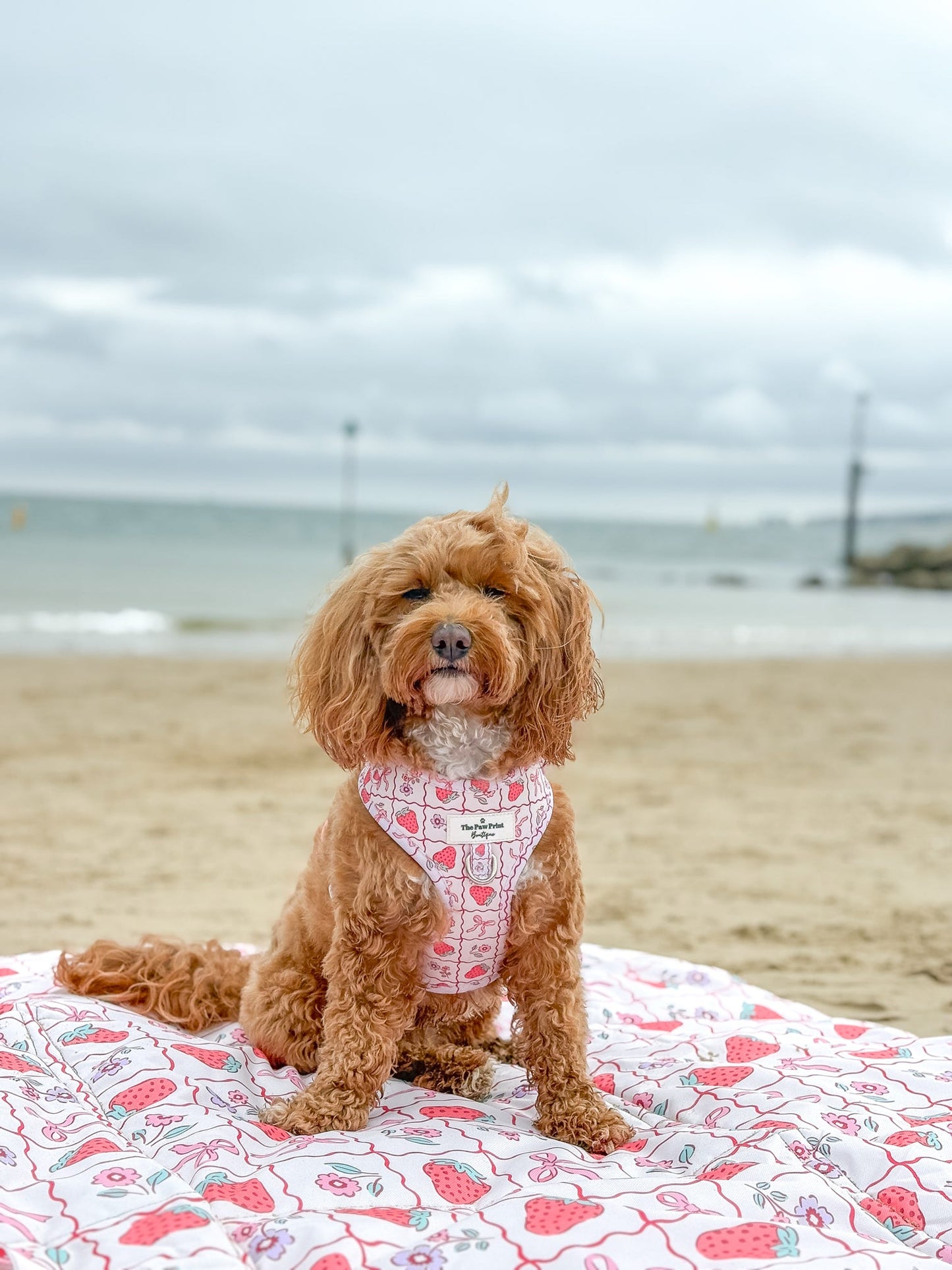 Bows & Berries Picnic Mat