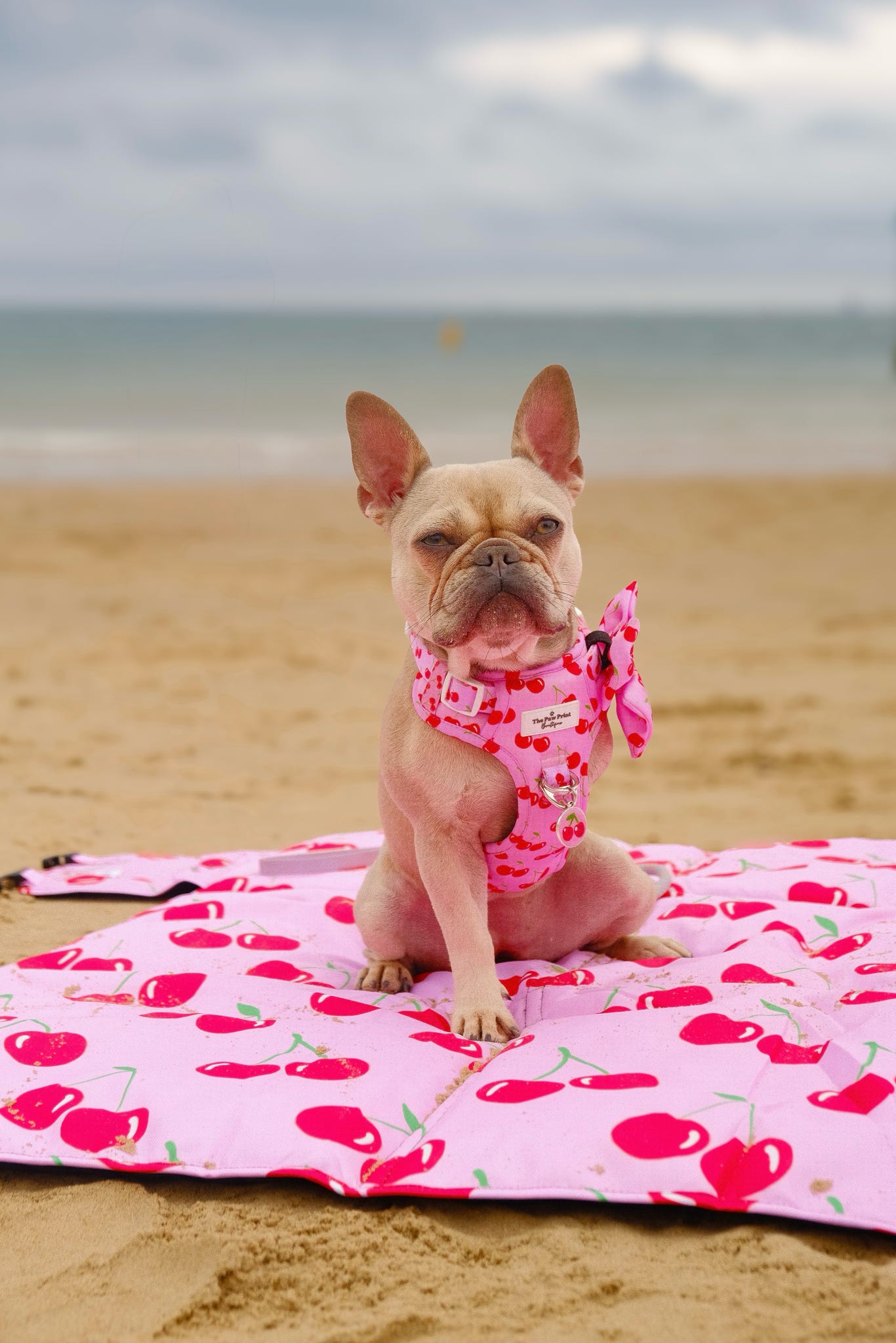 Cherry on Top Picnic Mat