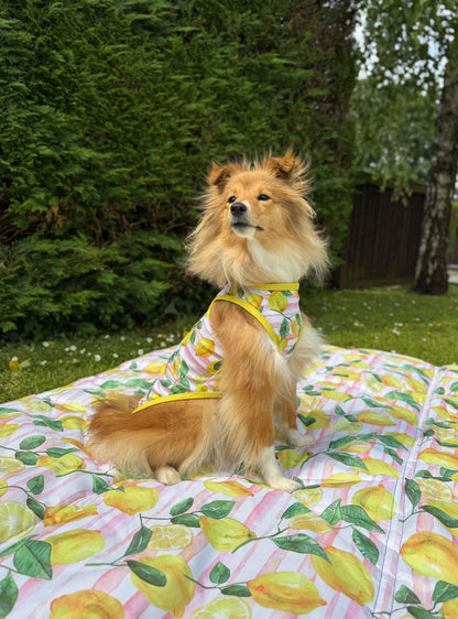 La Dolce Vita Cooling Vest