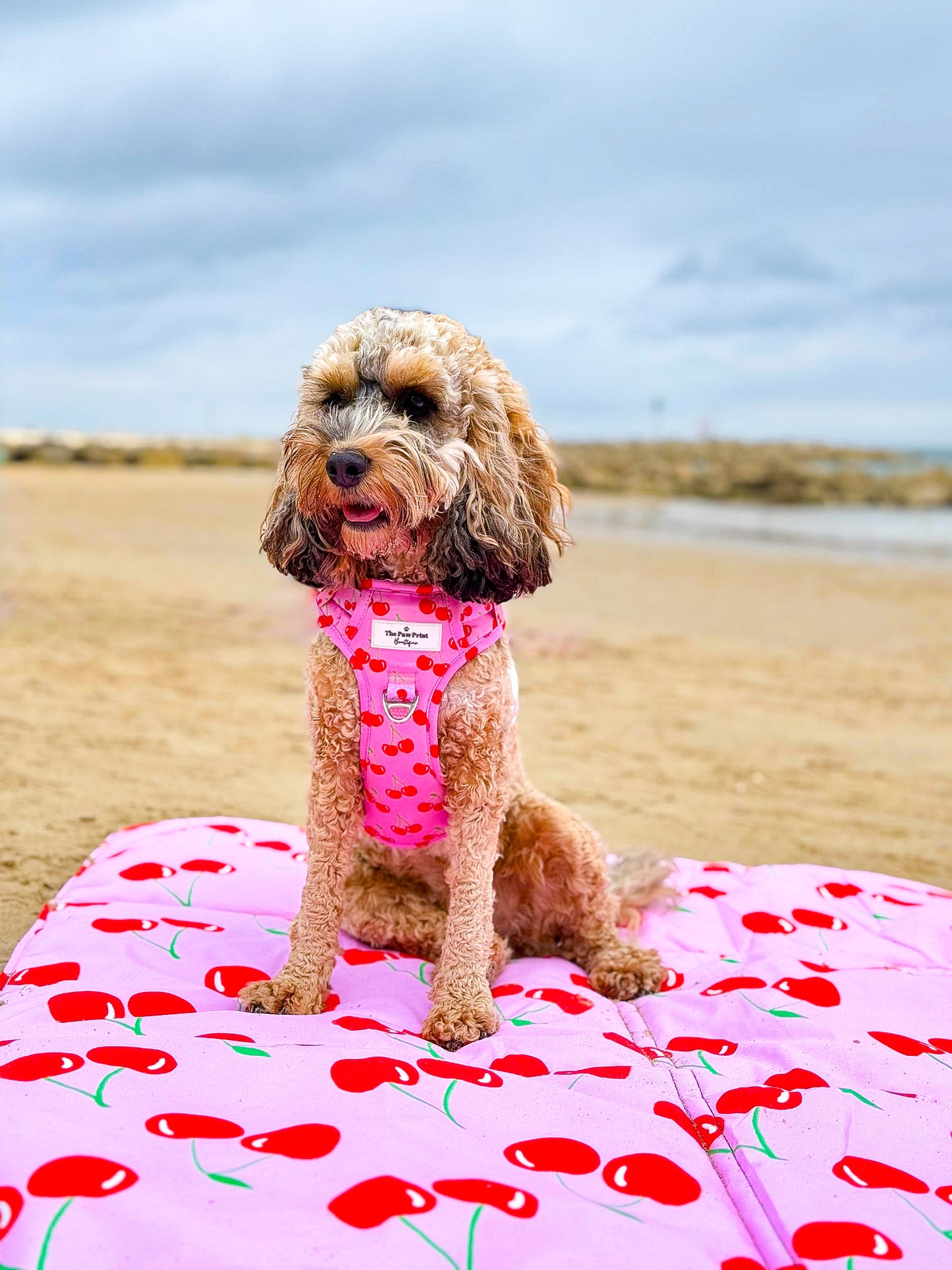 Cherry on Top Picnic Mat