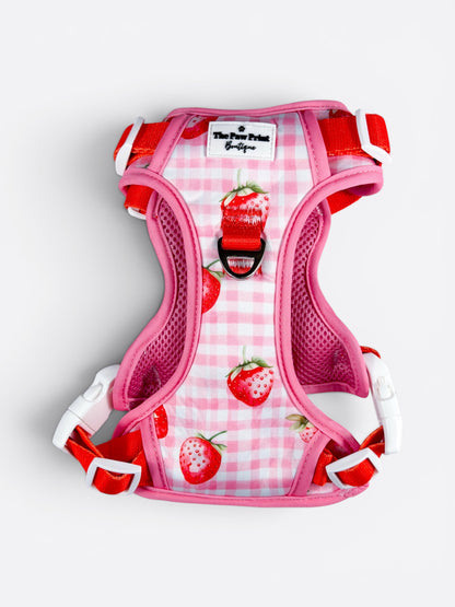 Strawberry Gingham Adventure Paws Harness