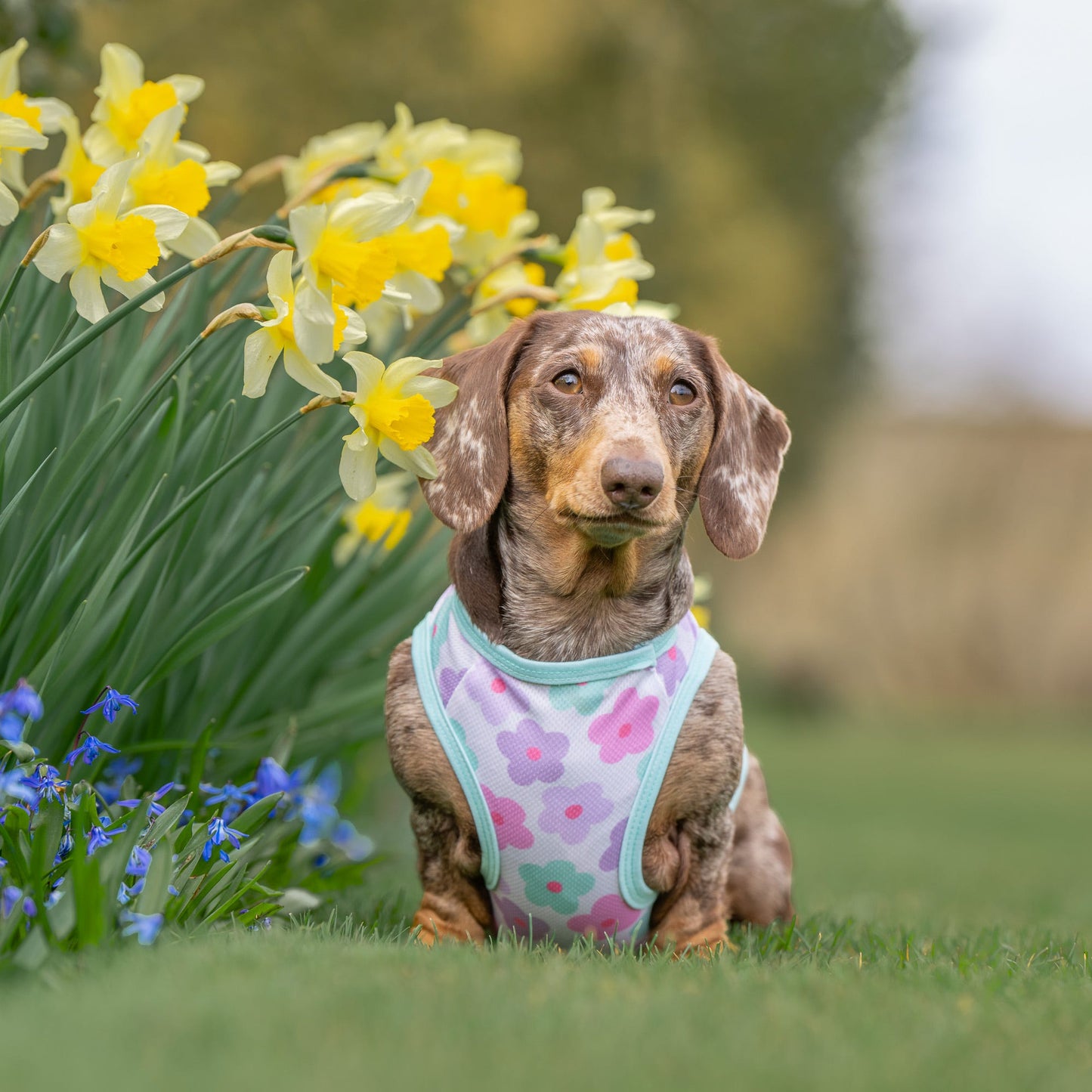 Minty Meadows / Flower Power Cooling Vest