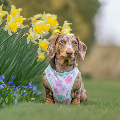 Minty Meadows / Flower Power Cooling Vest