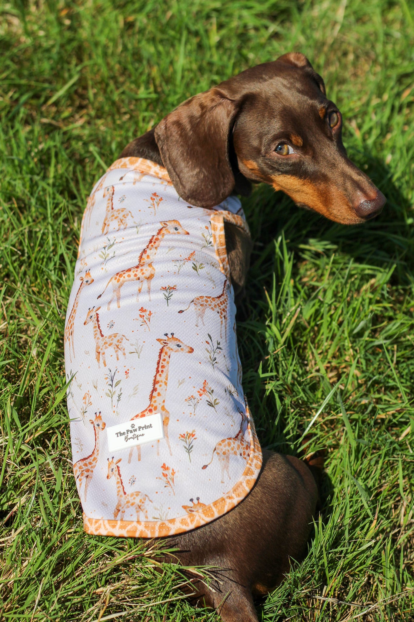 Graceful Giraffe Cooling Vest