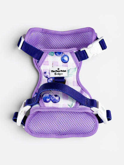 Blueberry Gingham Adventure Paws Harness