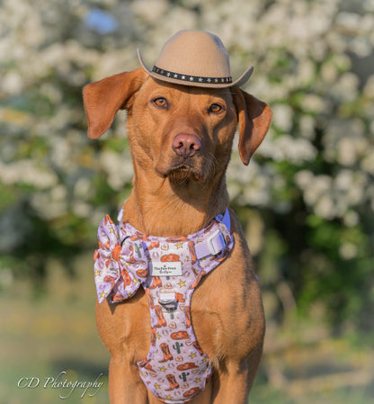 Howdy Pawtner Adventure Paws Harness