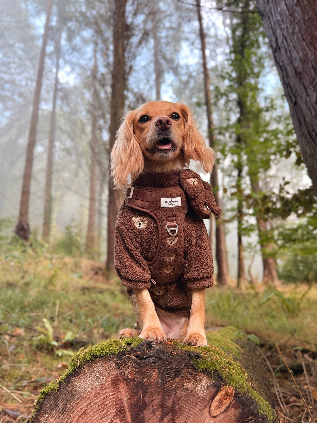 The Embroidered Little Bear Cub Teddy Fleece