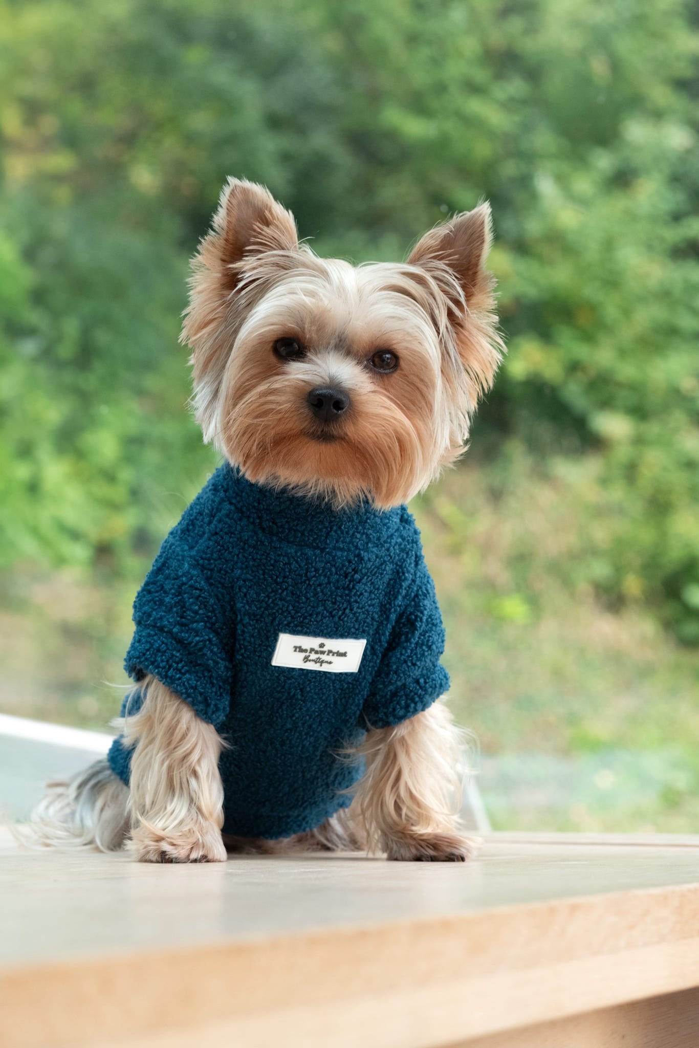 Teddy Fleece - Teal
