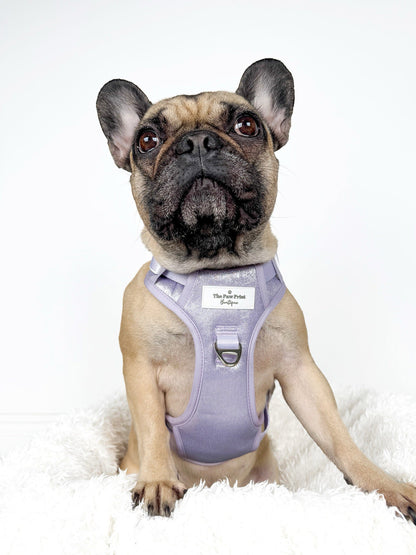 The Lavish Lilac Adventure Paws Harness