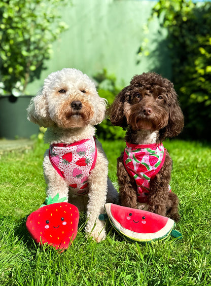 Watermelon Sugar Cooling Vest