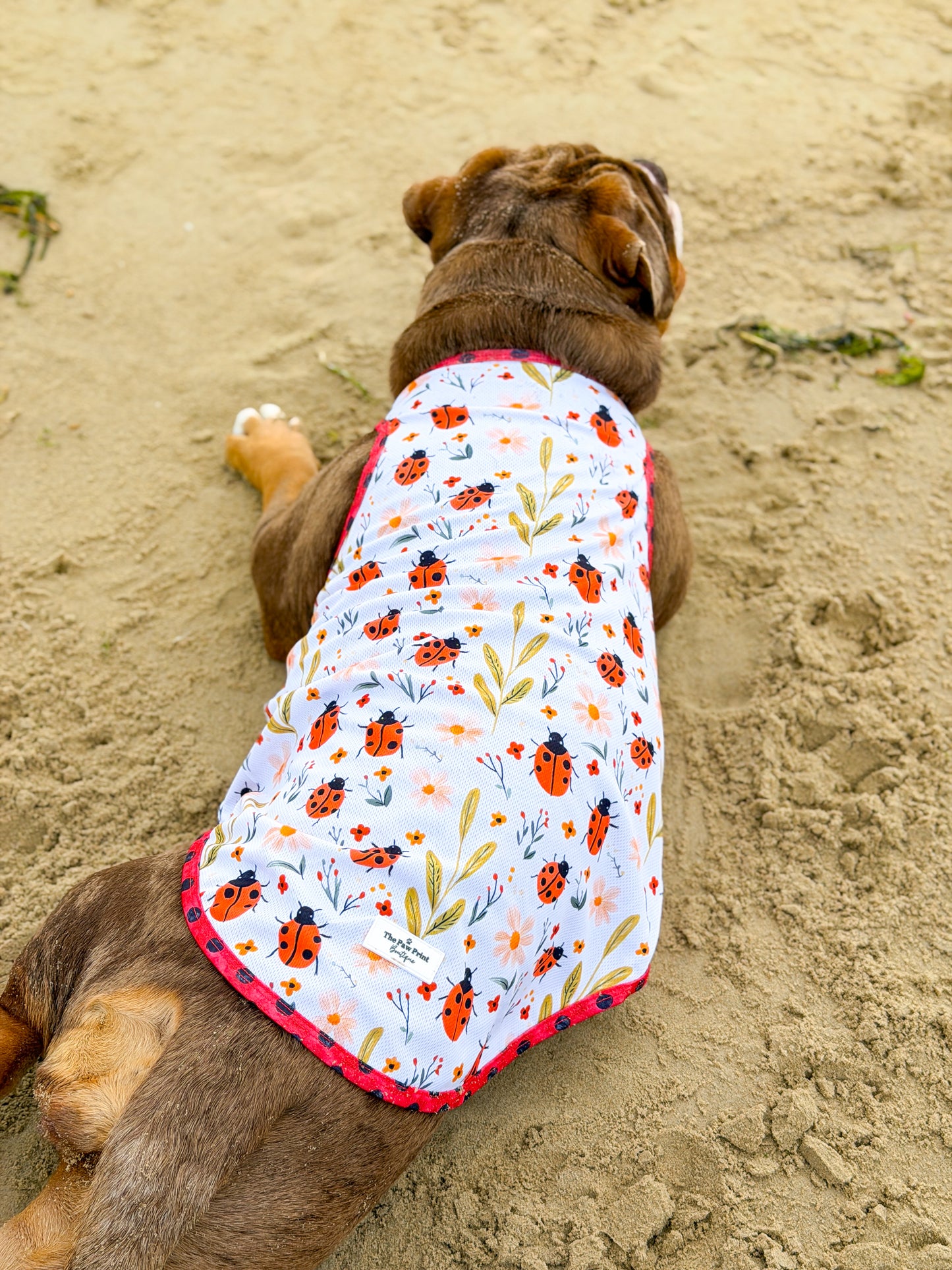 Ladybird Lane Cooling Vest