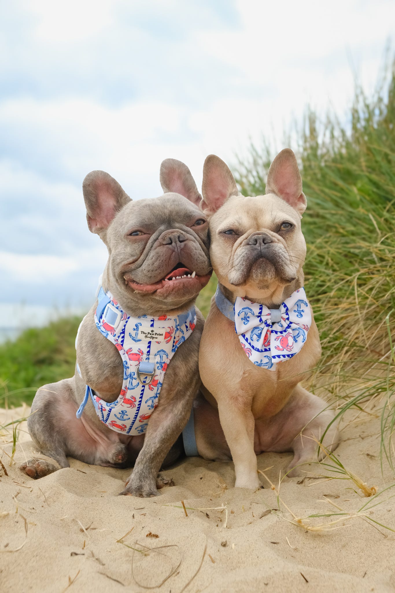 Absolutely Crabulous Bow Tie