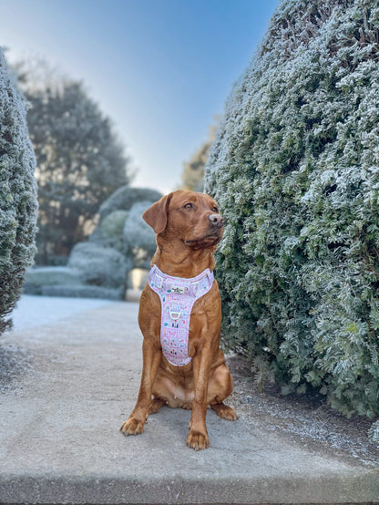 Once Upon a Pup Adventure Paws Harness