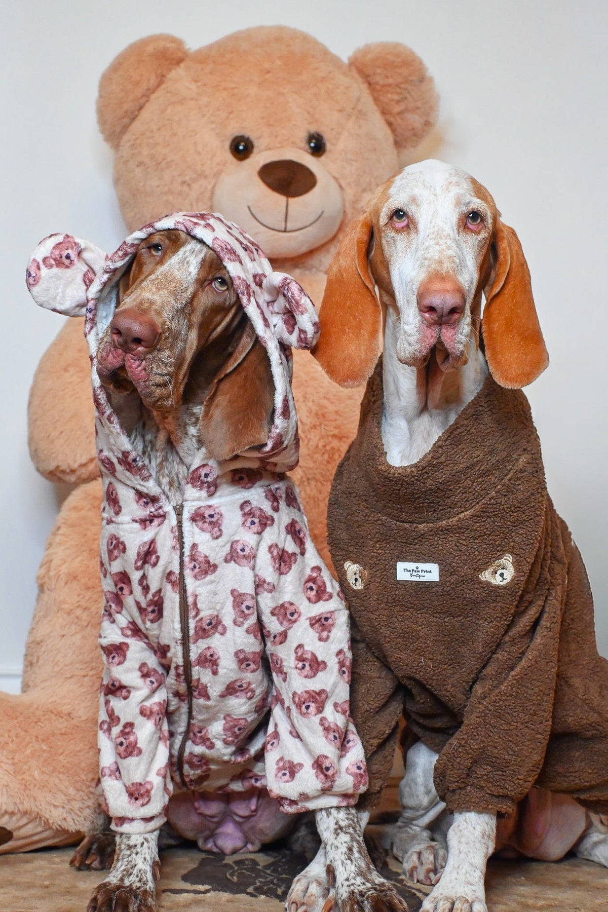 The Little Bear Cub Snuggle Fleece (With Hood & Ears)