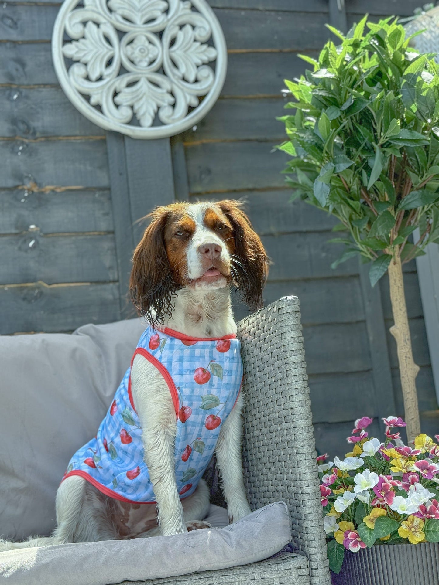 Cherry Gingham Cooling Vest