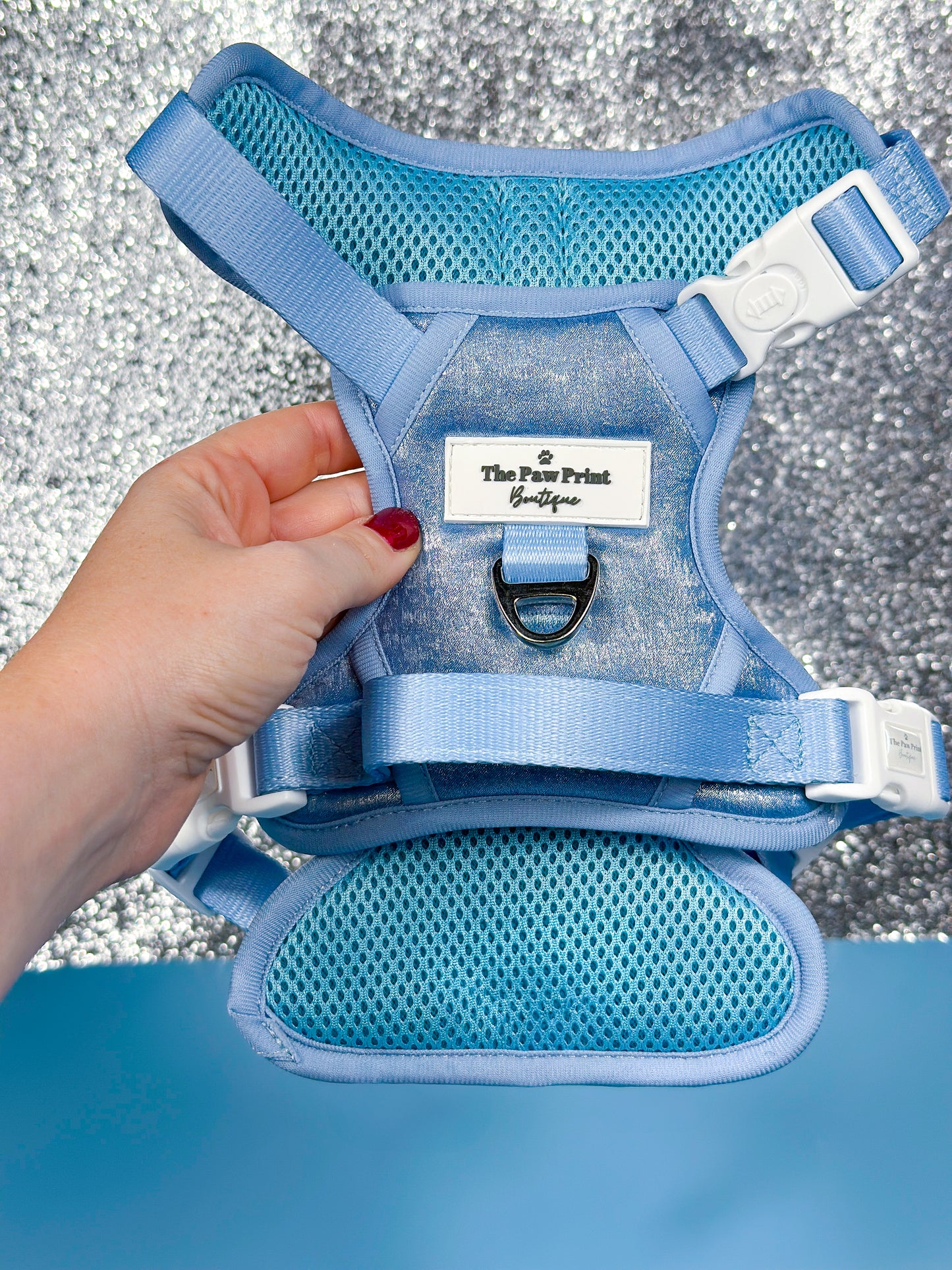 The Ocean Blue Adventure Paws Harness