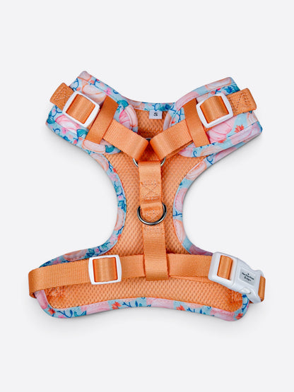 Pablo’s Pumpkins Adjustable Harness