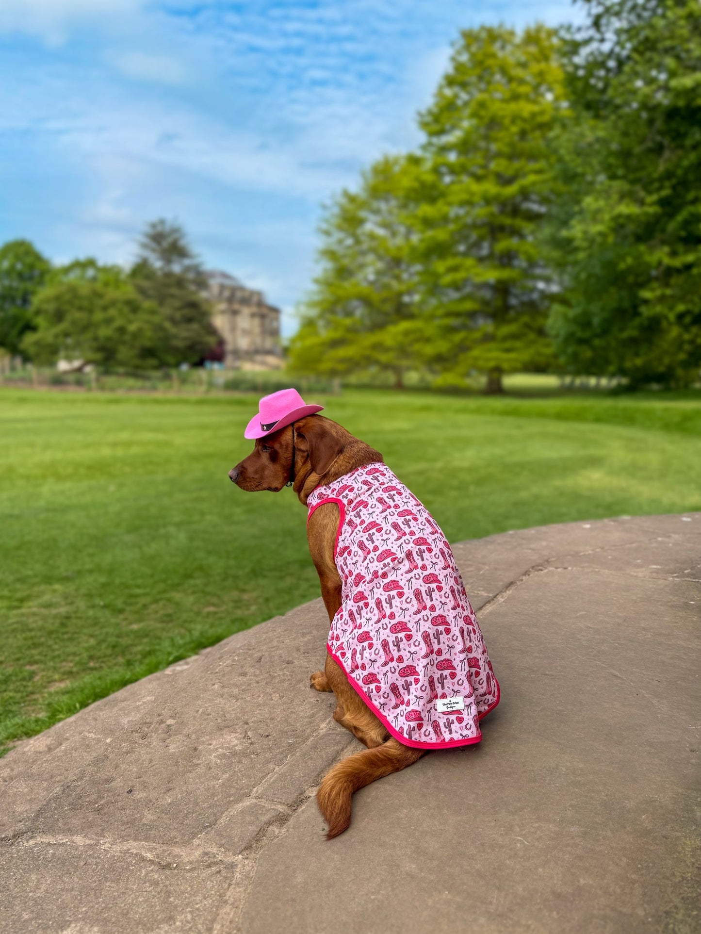 Giddy up Pup Cooling Vest