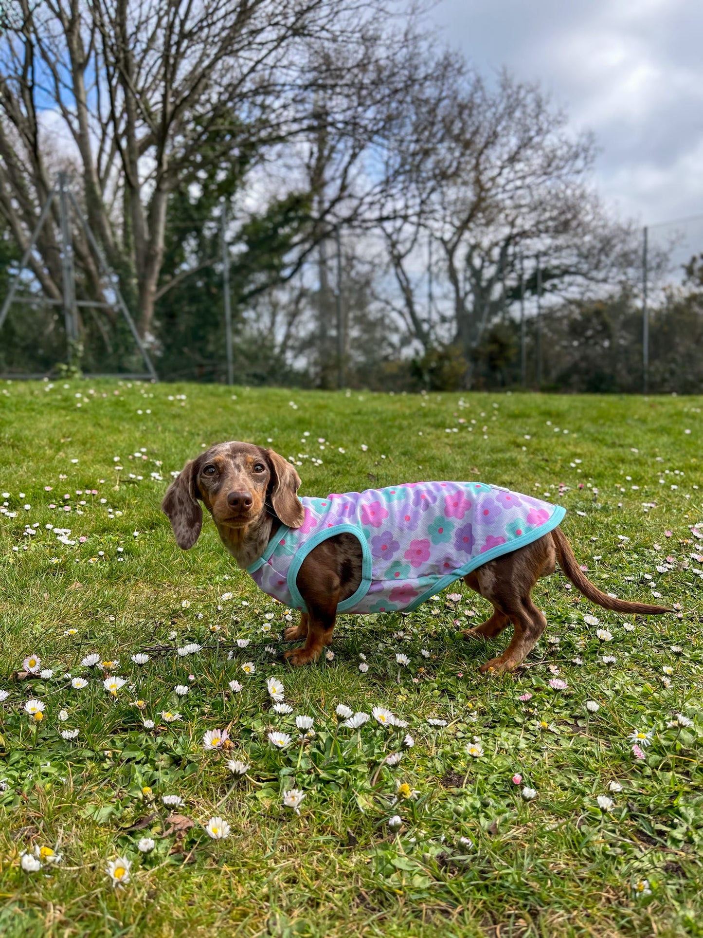 Minty Meadows / Flower Power Cooling Vest
