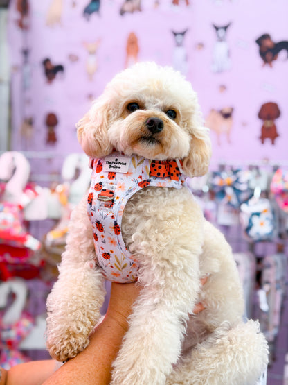 Ladybird Lane Adventure Paws Harness