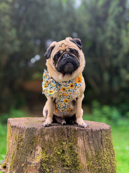 Sunny Sunflowers Adventure Paws Harness