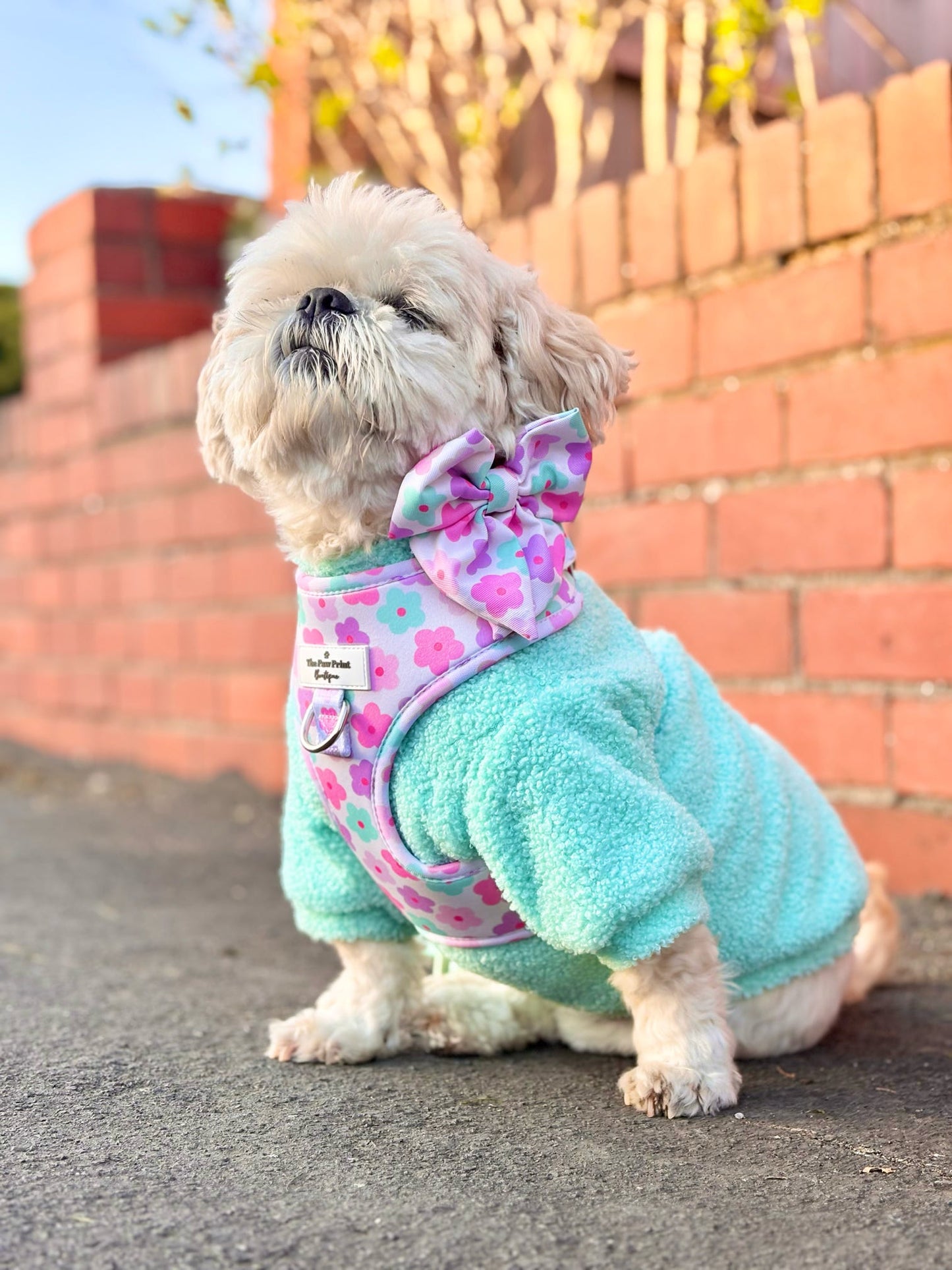 Teddy Fleece - Mint