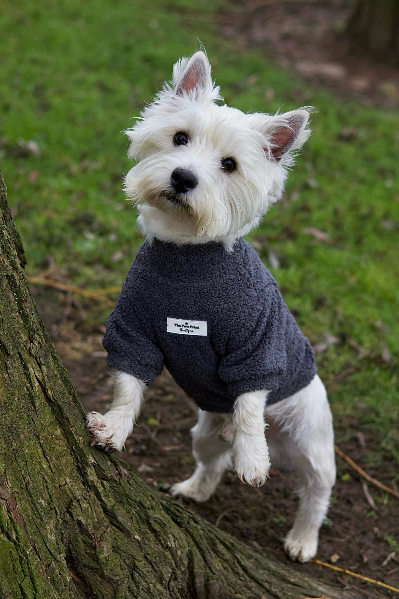 Teddy Fleece - Charcoal Grey