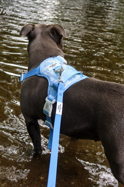 Waterproof Lead - Cornflower Blue