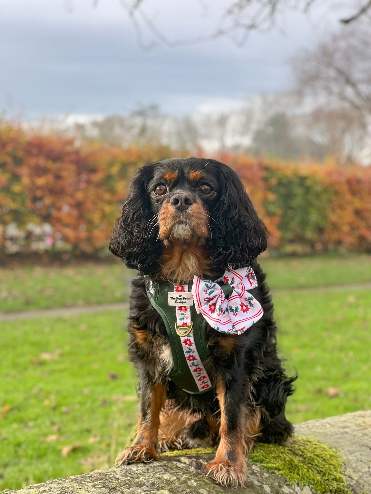 Festive Traditions Bow Tie