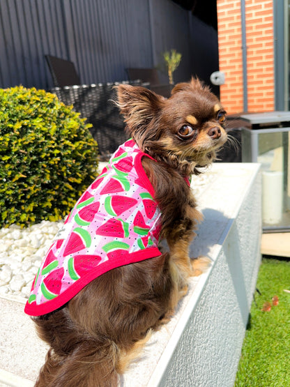 Watermelon Sugar Cooling Vest